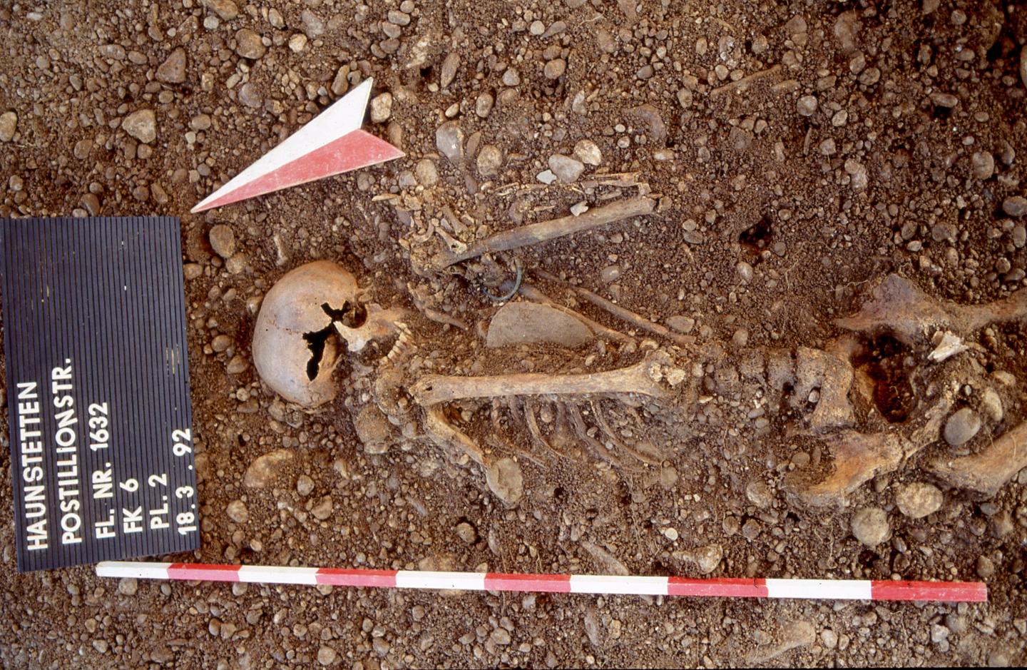 Excavated Individual
