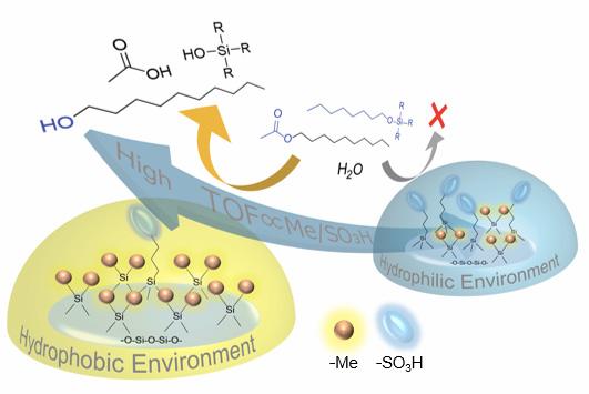 Hydrophobic Environment