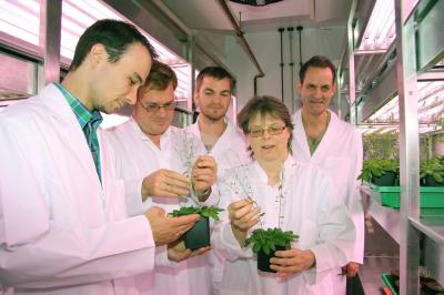 Cooperation Partners