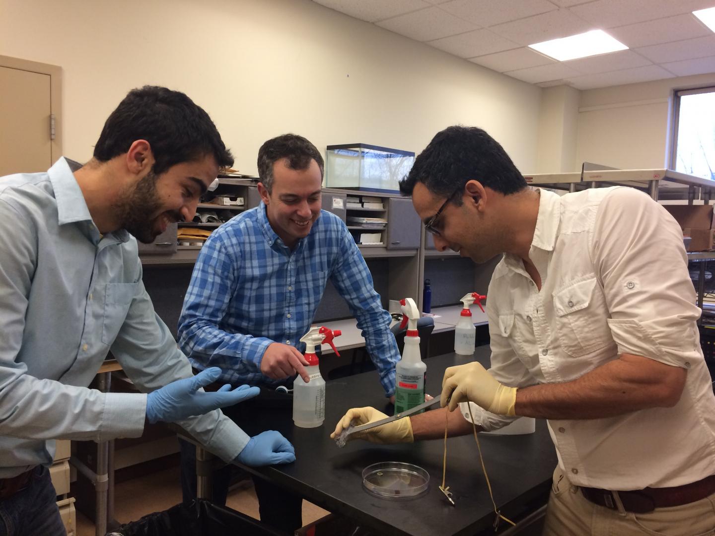 Navid Kazem, Jonathan Malen, and Carmel Majidi, College of Engineering, Carnegie Mellon University  