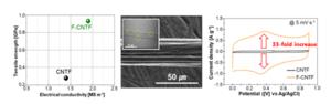 [Figure 2] Properties and electrochemical activity of functionalized carbon nanotubes