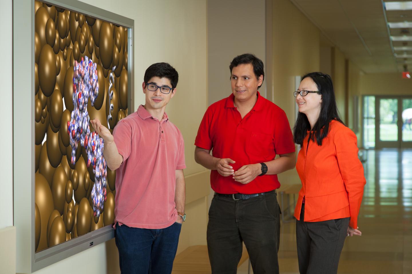 Margaret Cheung with students from her lab, University of Houston