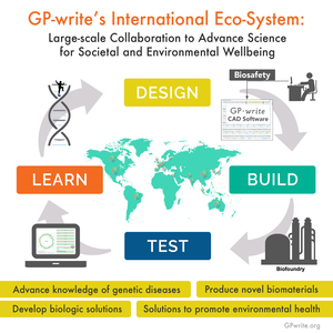 Genome Project-write Biofoundry and Startup Ecosystem