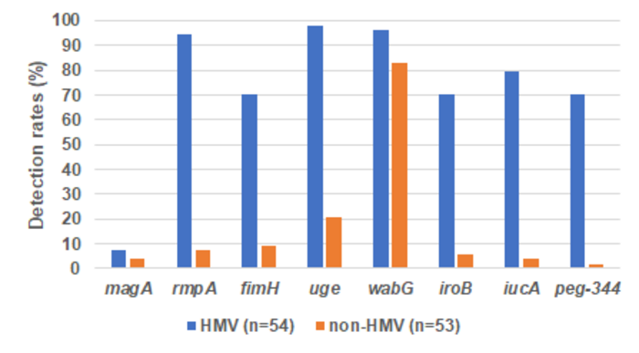 Figure 1: Comparison of virulence gene distribution in HMV strains and non-HMV strains