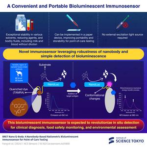 A convenient and portable bioluminescent immunosensor