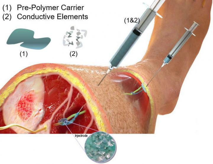 Injectrode Schematic