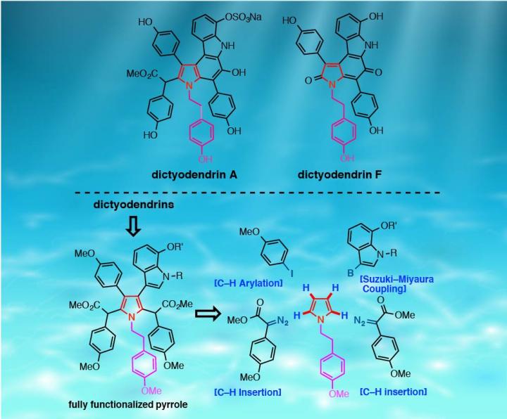 Synthesis of Marine Alkaloid, Dictyodendrin, Using Selective C-H Functionalization Strategies