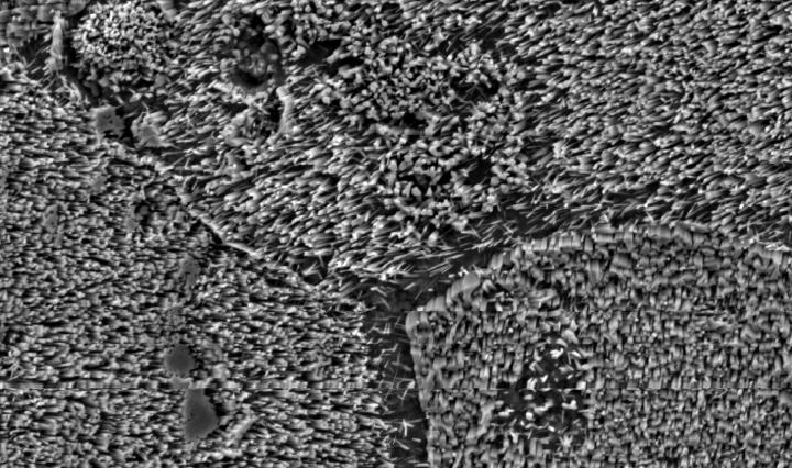 Ultraviolet LED Nanowires