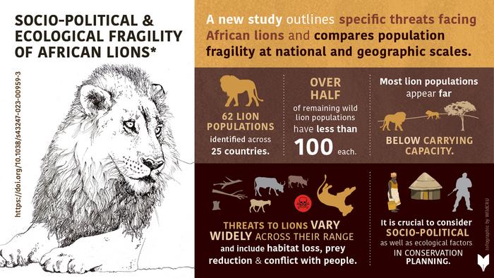 New analysis reveals the risk of disappearing African lion populations