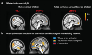 Whole-brain analysis and overlap analysis results. ((Image by WEI et al))