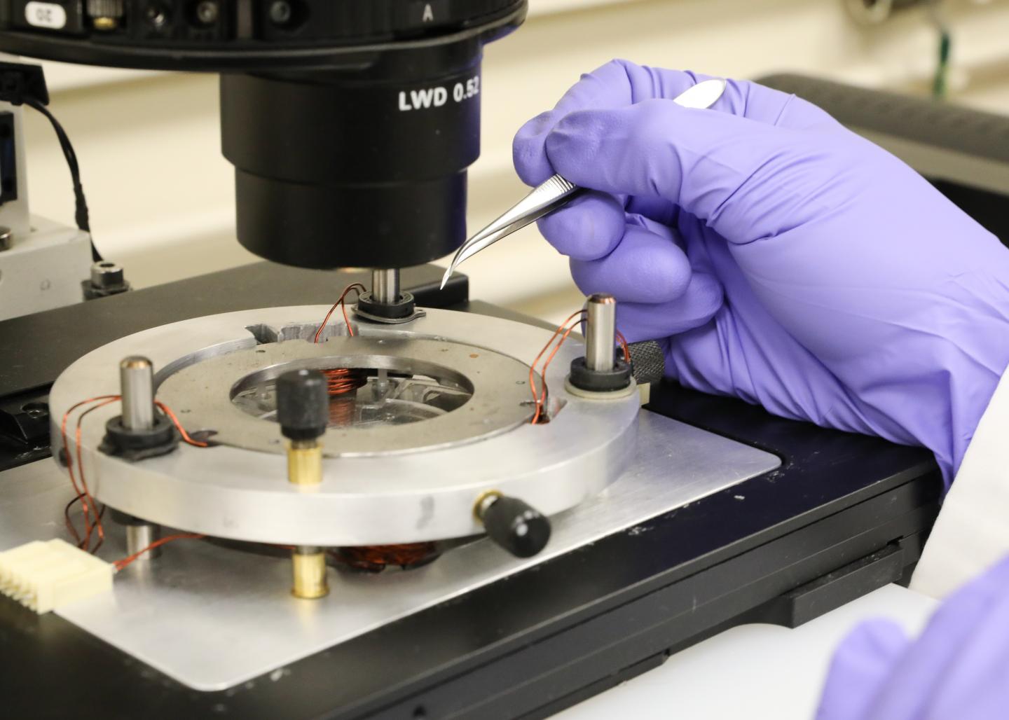 Close-Up Microscope Photo