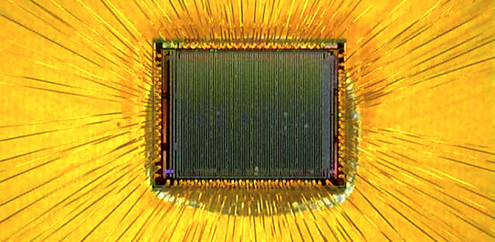 Quanticam sensor comprises a large sensor array for multispeckle imaging, resulting in a signal-to-noise ratio gain of 110 over a single-pixel system.