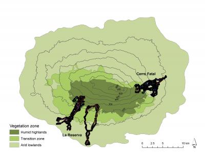 Galapagos Tortoise Migration