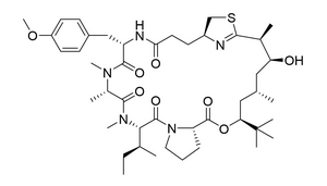 Targeting a human protein to squash SARS-CoV-2 and other viruses