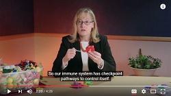 Julie Brahmer, Johns Hopkins Medicine 