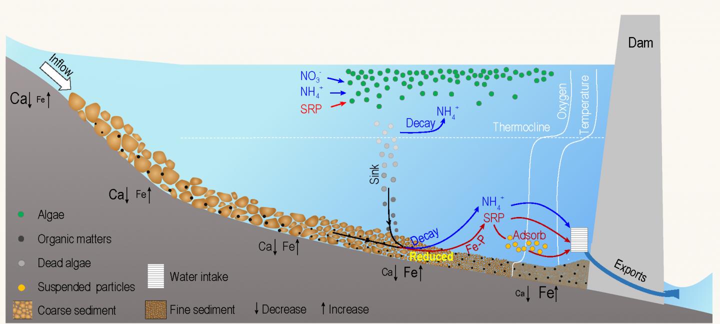 Conceptual Mechanism