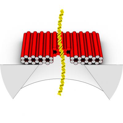 Solid-State Nanopore with DNA Origami 'Gatekeeper'