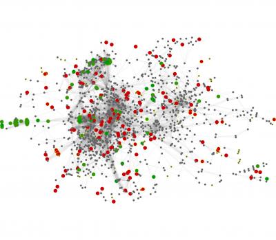 Community Metabolic Network of Gut Flora