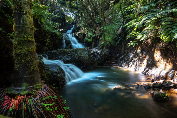 Stream in Hawai'i