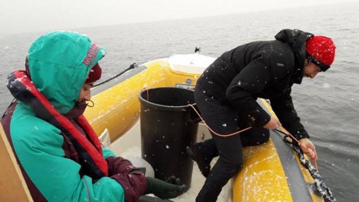 Monitoring under the Snow