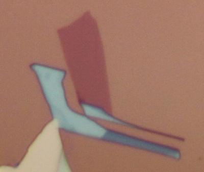 Tungsten Diselenide on Silicon Oxide