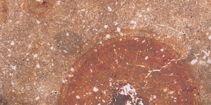 Concentric iron oxide accumulations