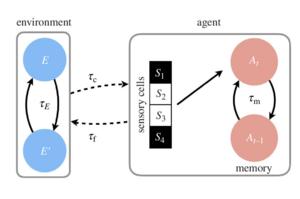 Framework Overview of Agent and Environment Interaction