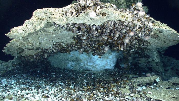 Novel bacterial proteins from the seafloor shine light on climate, astrobiology