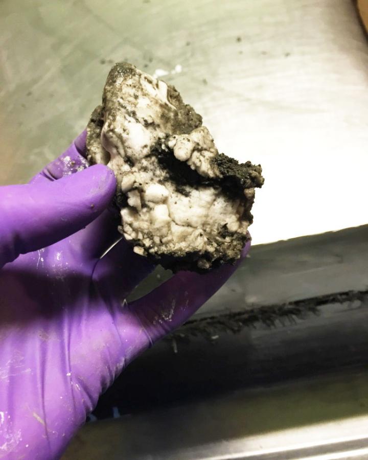 Gas Hydrate Mounds in Arctic Ocean