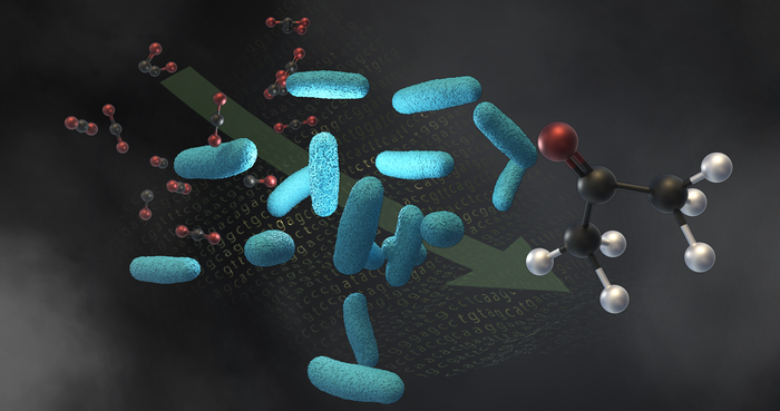 Microbial production of valuable chemicals from waste gases