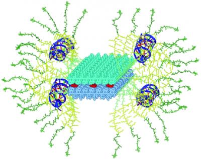 Self-assembled Virus
