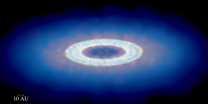An Image of a Protoplanetary Disk Made Using Results from the New Model