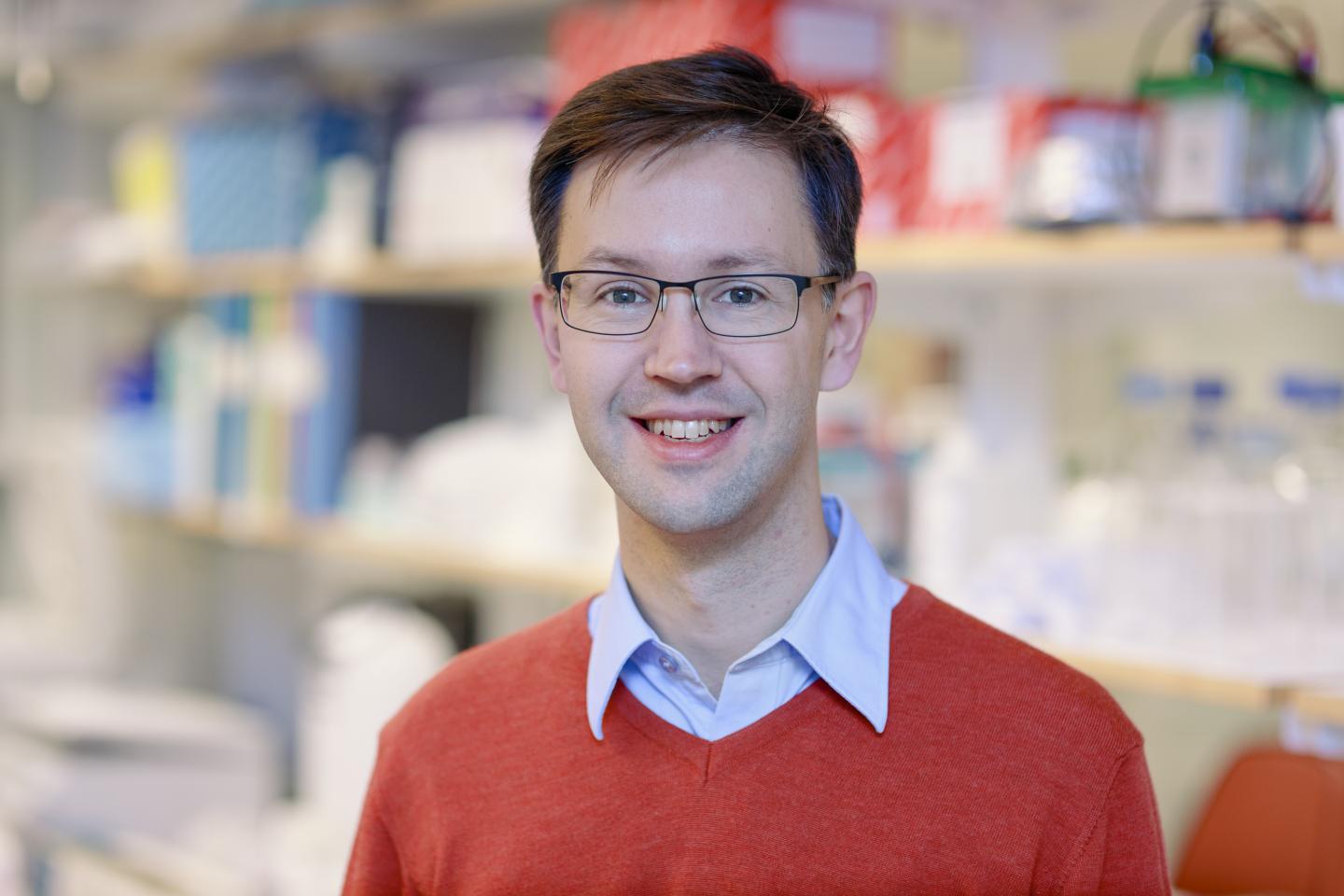 Lars-Anders Carlsson, Umea University