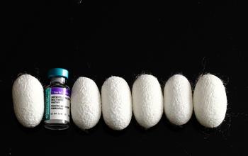 Image of Silk Bundles and One Small Glass Bottle