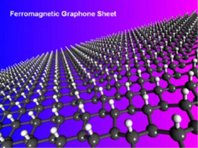 Ferromagnetic Graphone Sheet