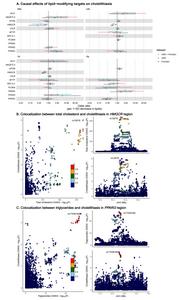 Associations of lipid-modifying targets with cholelithiasis.