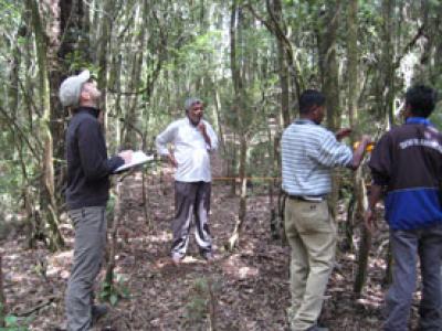 New Research Can Save Tropical Forests