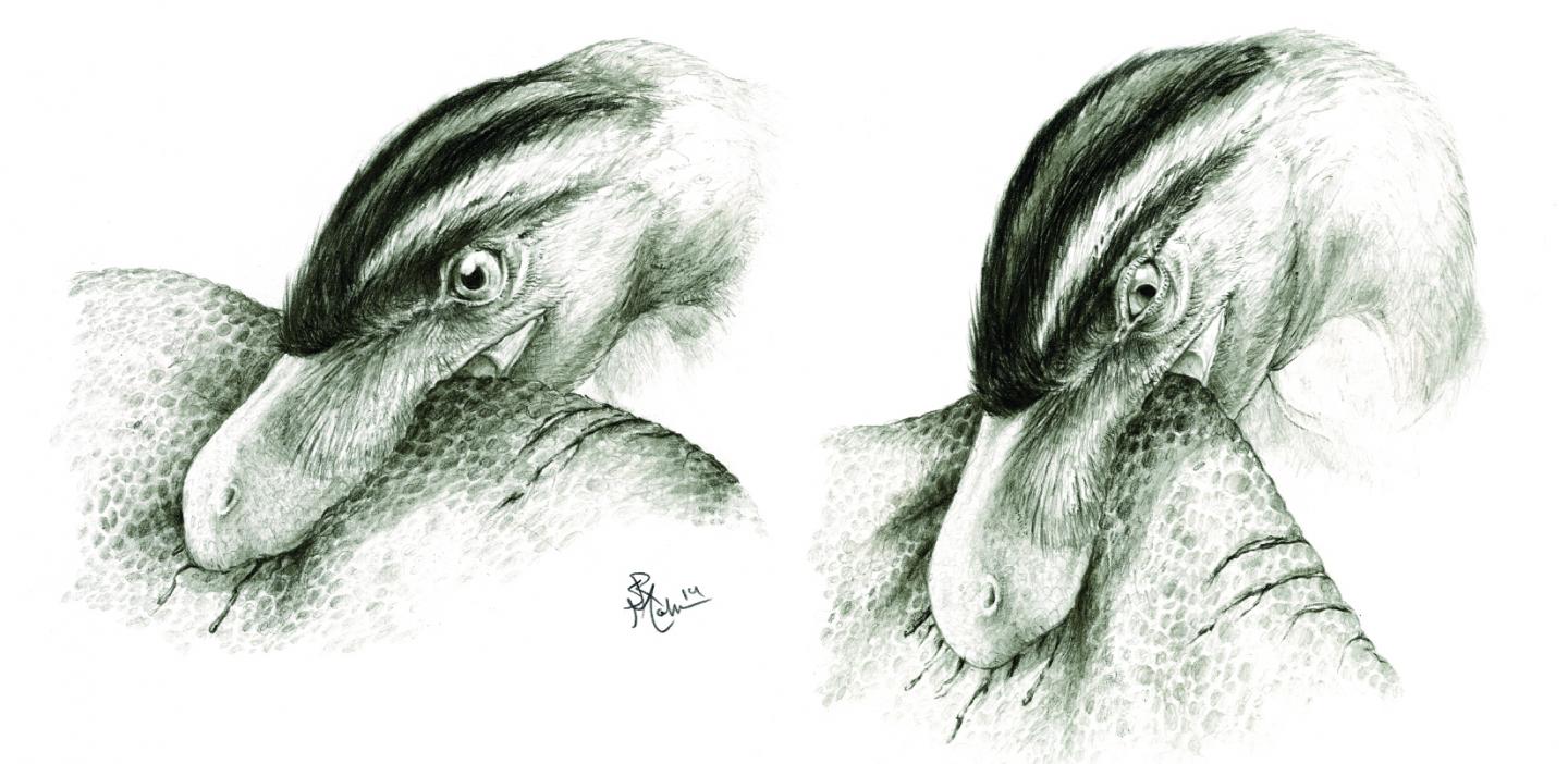 Puncture-And-Pull Feeding Illustration