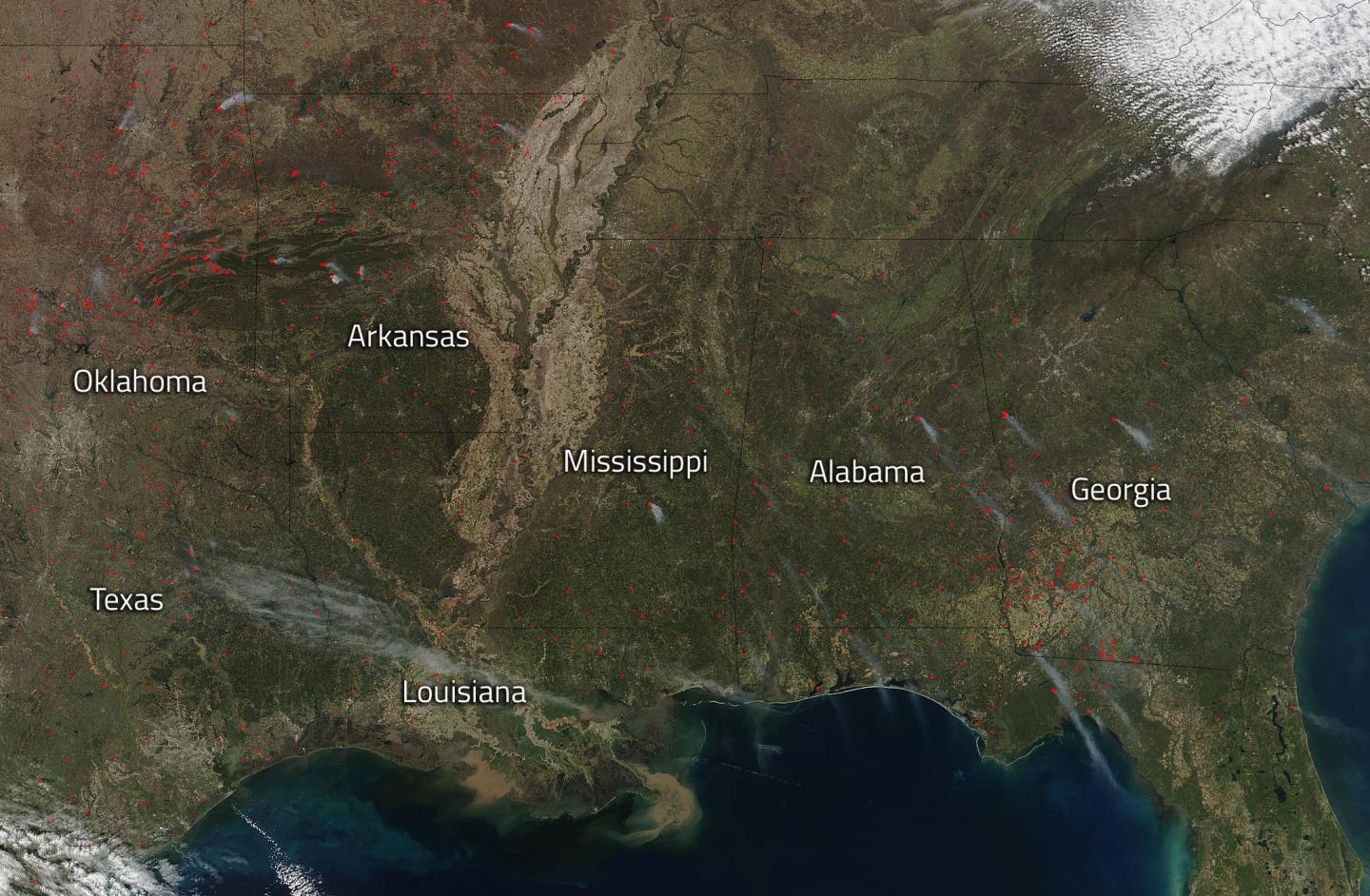 Southeastern US Sees Wildfire Activity