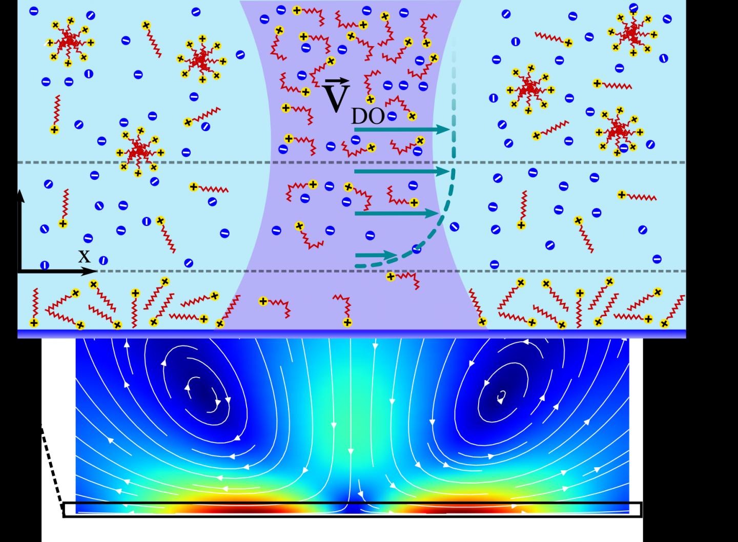 A Scheme of Generation of a Diffusion-Osmotic Flow