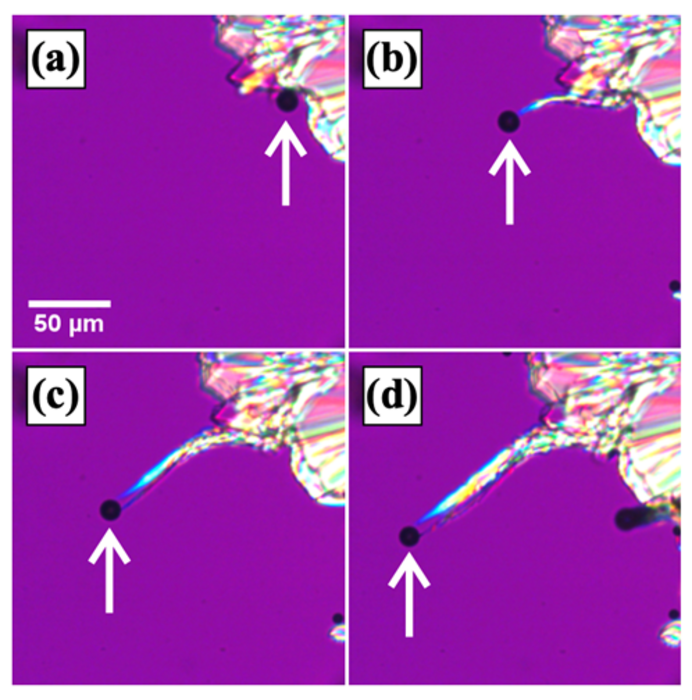 “Whisker” of crystal growing out from a crystalline front.