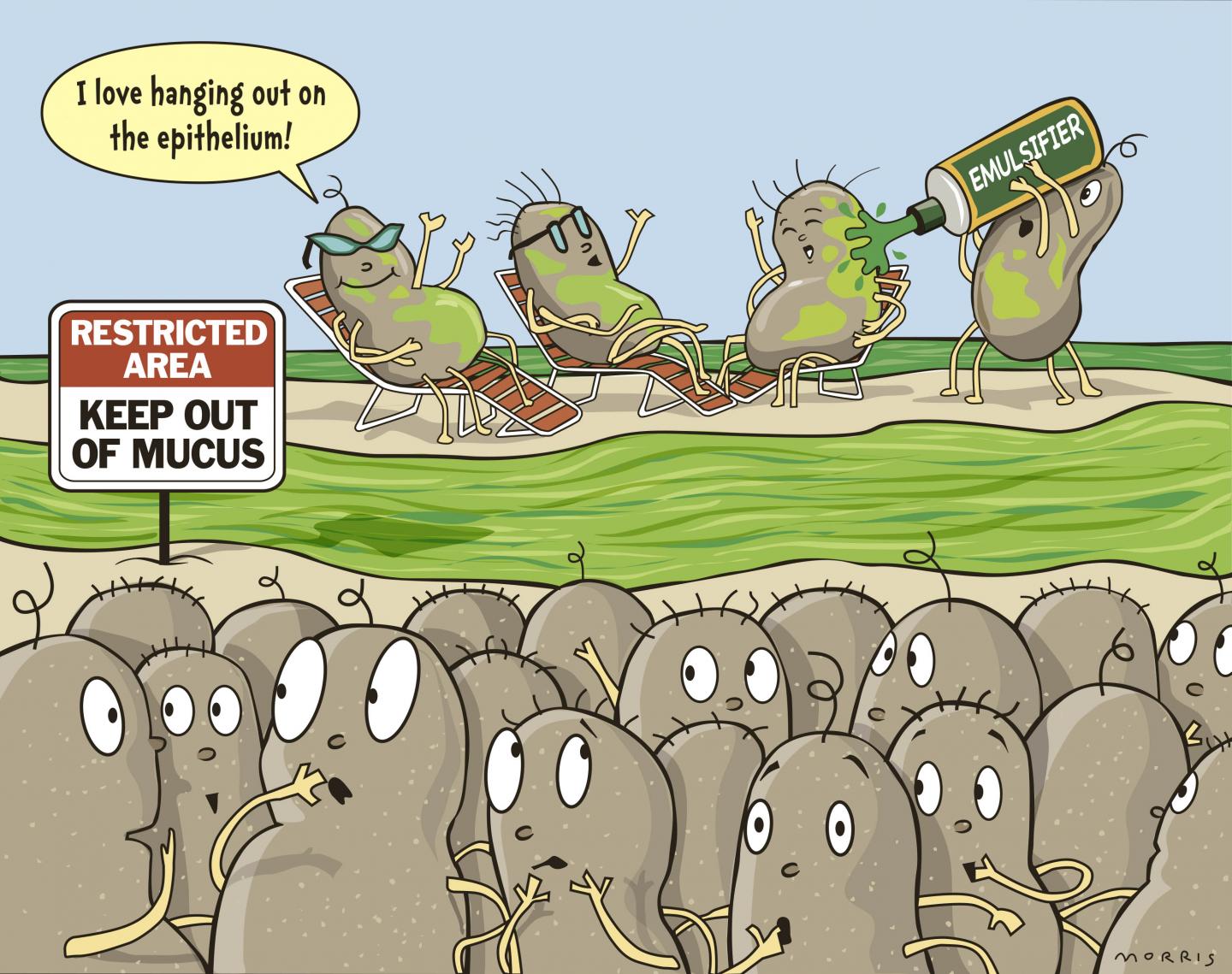 Food Additive Study Illustration