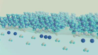 Liquid-Liquid Interface during Solvent Extraction of Cobalt