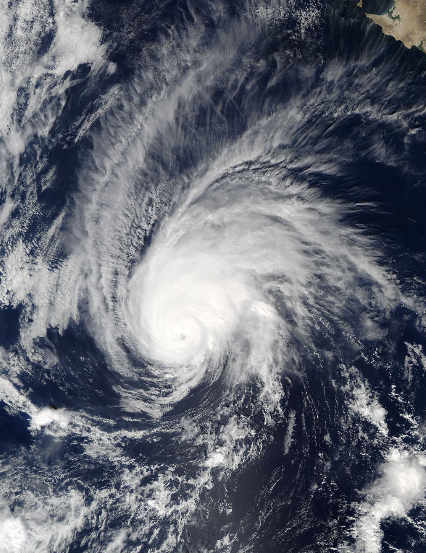 Aqua Image of Seymour