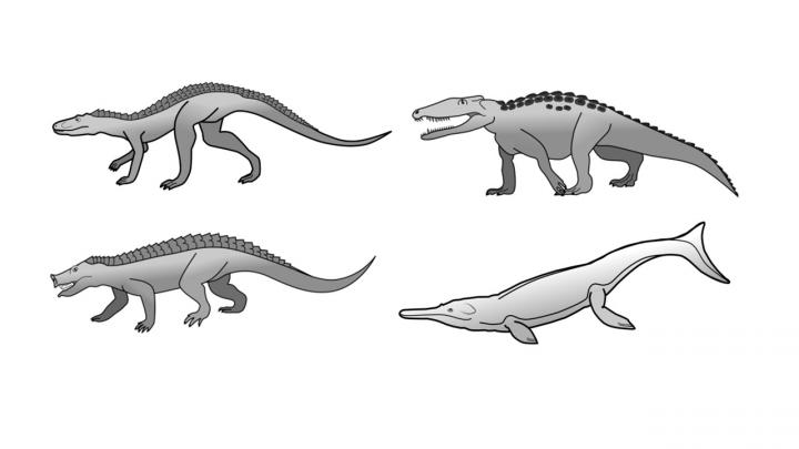 Prehistoric Crocodile Evolution