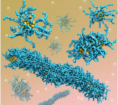 Model Can Simulate Polyelectrolyte Systems, Such As RNA, DNA