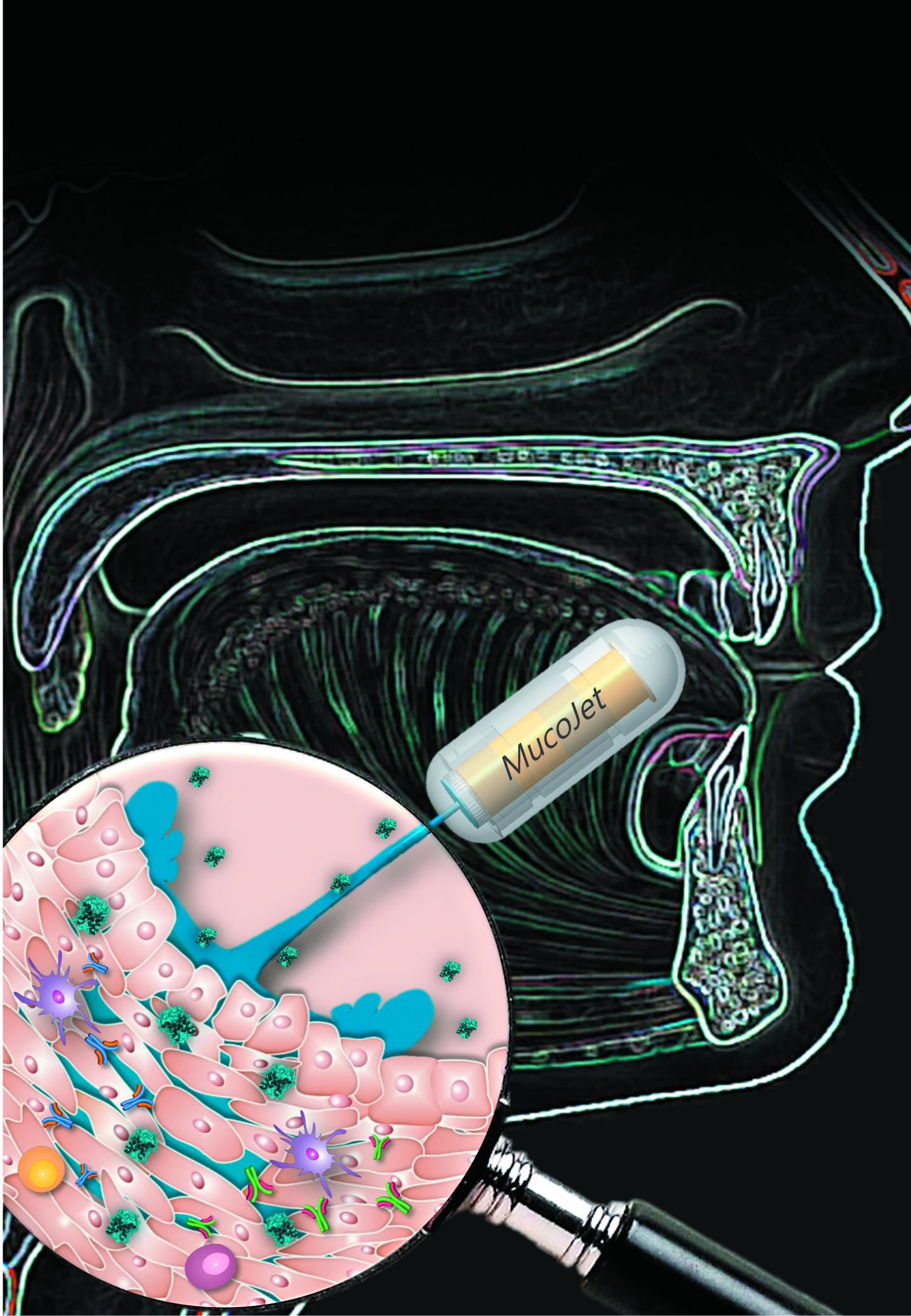 Needle-Free Oral Vaccination Platform Elicits Potent Immune Responses (1 of 1)