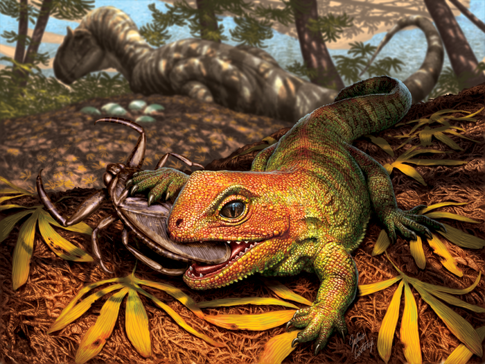 Artistic interpretation of the new lizard-like reptile Opisthiamimus gregori