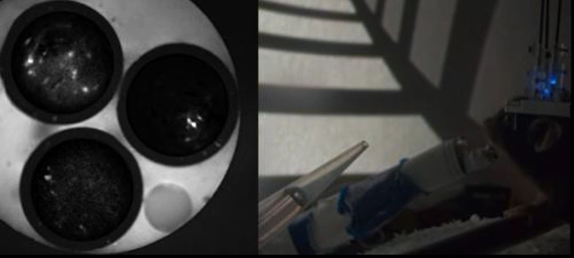 Mice play virtual reality games to reveal how EurekAlert!