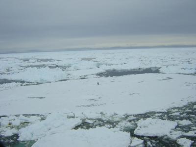 Halogens Hover Above Antarctic Ice 1 (of 3)